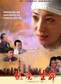 这里，不仅是人们尽情狂欢的乐土，更是鸟类繁衍生息的天堂。